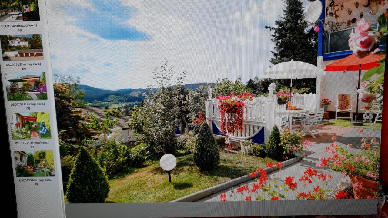 Ferienhaus Haus Herzog Тітізе-Нойштадт Екстер'єр фото