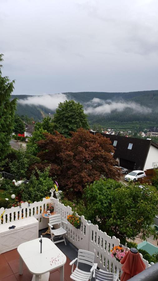 Ferienhaus Haus Herzog Тітізе-Нойштадт Екстер'єр фото