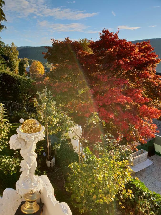 Ferienhaus Haus Herzog Тітізе-Нойштадт Екстер'єр фото