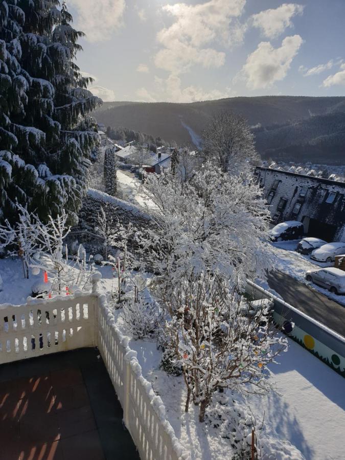 Ferienhaus Haus Herzog Тітізе-Нойштадт Екстер'єр фото